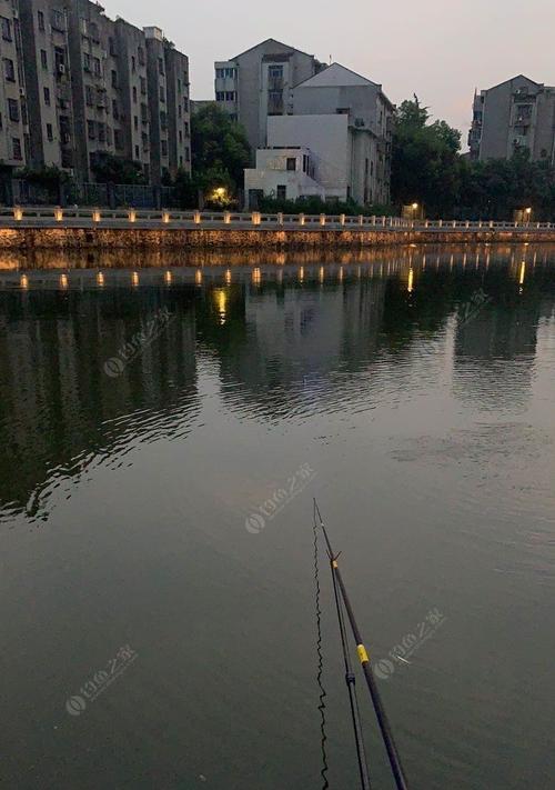 黄梅钓鱼绝密技巧（捕获美味佳肴的关键方法）  第2张