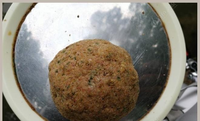 黄梅钓鱼绝密技巧（捕获美味佳肴的关键方法）  第1张
