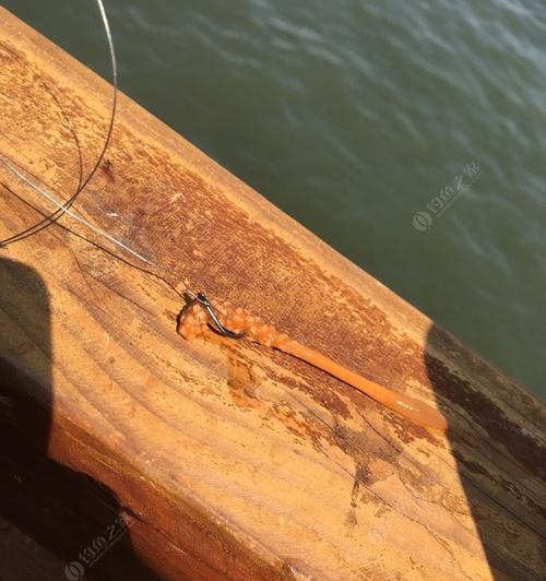 黄水坑钓鱼技巧大揭秘（享受钓鱼的乐趣）  第1张