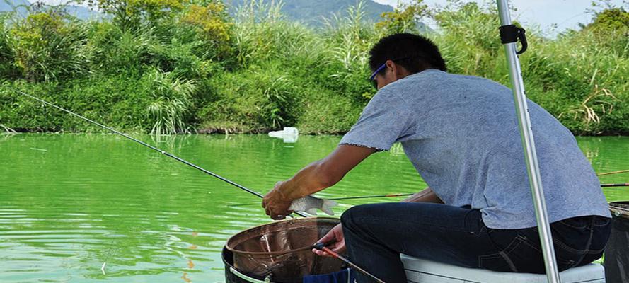 夏日钓鱼技巧（三伏天黑坑回锅鱼钓鱼技巧）  第3张