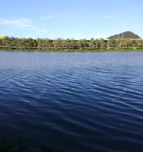回水湾钓鱼绝密技巧（探寻回水湾独特的钓鱼技巧）  第3张