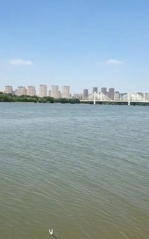 浑河钓鱼选位技巧（掌握关键地点）  第2张