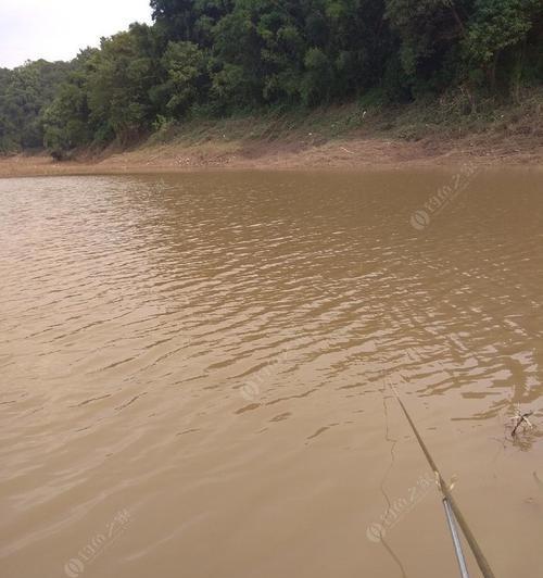 浑水清水钓鱼技巧（掌握技巧）  第2张