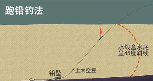 柬埔寨蜜蜂幼虫钓鱼技巧（掌握柬埔寨特色钓鱼技巧）  第3张