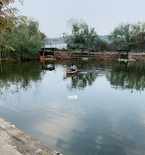 江河钓鱼技巧大全（掌握江河钓鱼的秘诀）  第2张