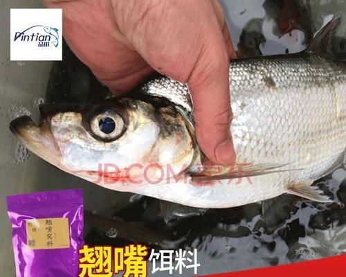江河钓鱼技巧——开拉饵的精髓（掌握开拉饵技巧）  第2张