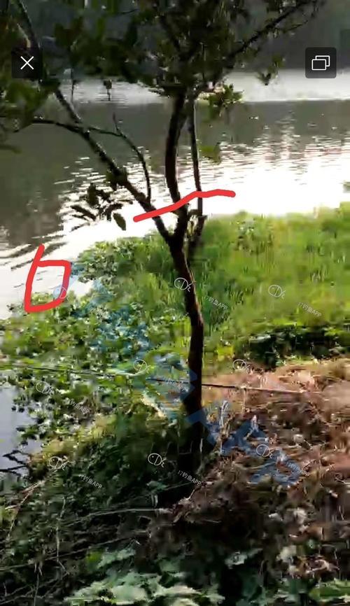 江河急流钓鱼的技巧（掌握钓鱼技巧）  第1张