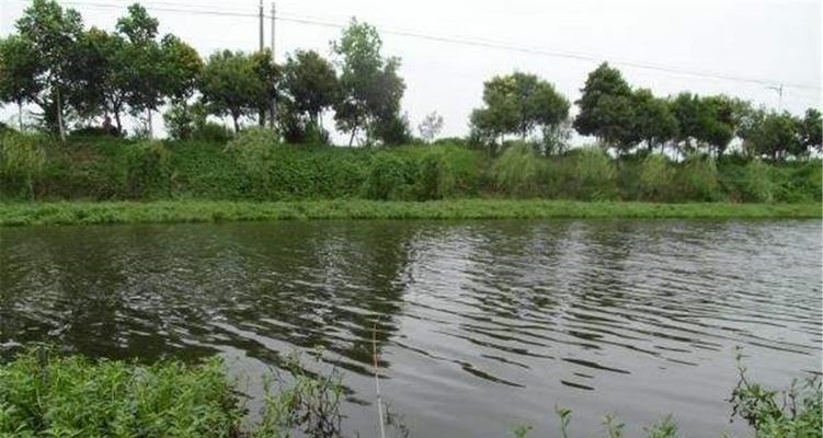 江河流水钓鱼的技巧（不用漂）  第2张