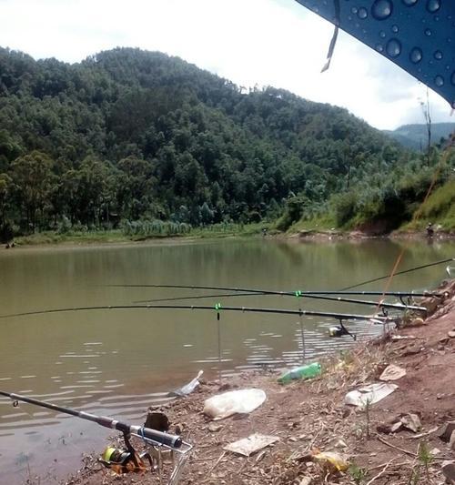 江河水库钓鱼技巧（掌握水库钓鱼技巧）  第3张