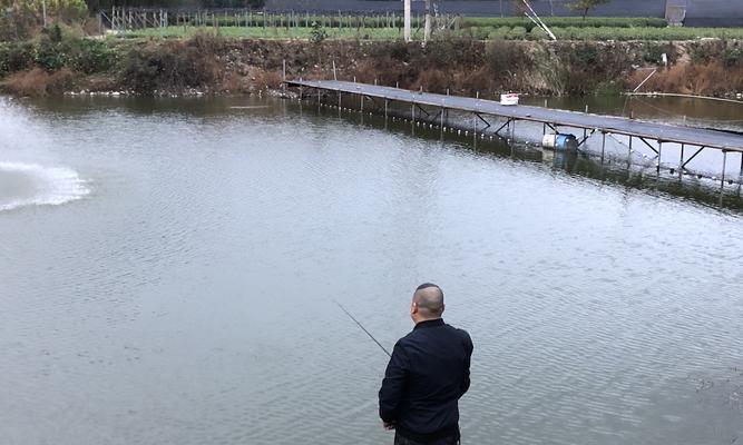 江水钓鱼技巧教程（掌握钓鱼技巧）  第3张