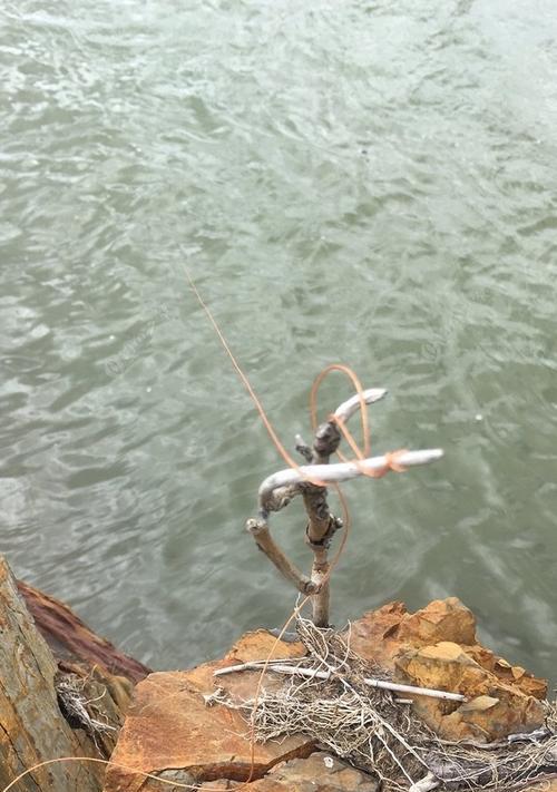 江水钓鱼的技巧与心得（掌握一招）  第3张