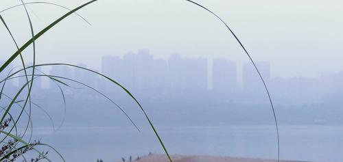 江水急流钓鱼技巧（掌握鱼群流动）  第3张