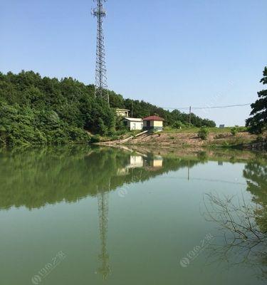 烂塘钓鱼技巧教程（轻松掌握烂塘钓鱼秘籍）  第1张