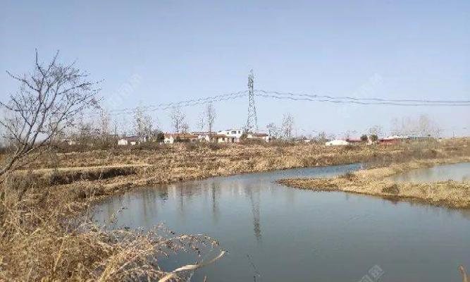 探秘老地方钓鱼打窝技巧（窥探老地方钓鱼秘籍）  第3张