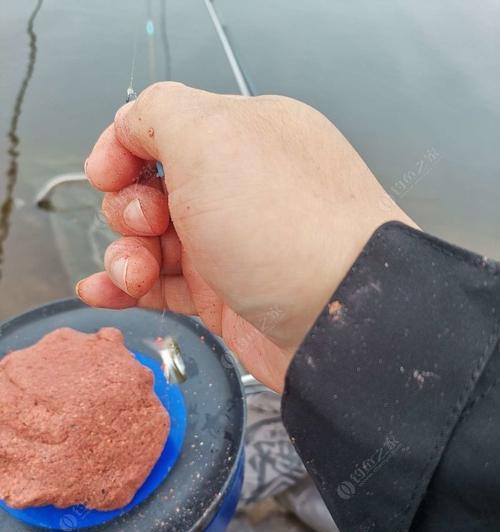 老钓鱼人浅谈调漂技巧（提高钓鱼成功率的4种常见调漂技巧）  第3张