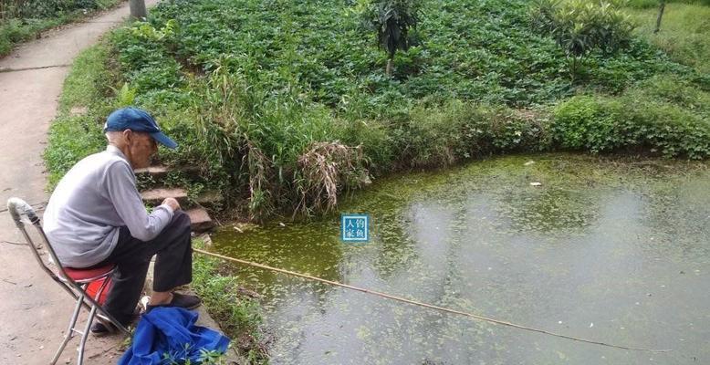 老府河钓鱼技巧（掌握的垂钓技巧）  第1张
