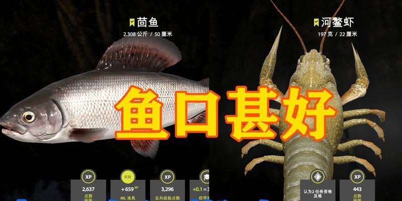 老王钓鱼技巧教程（掌握老王钓鱼技巧）  第2张