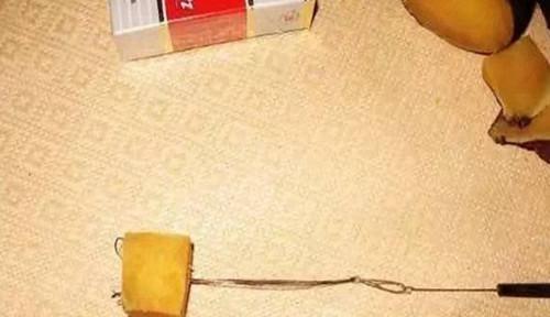 老王钓鱼技巧新手教程（钓鱼技巧让您轻松入门）  第1张