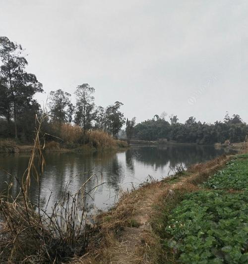 老鱼塘钓鱼的注意事项与技巧（老鱼塘钓鱼）  第1张