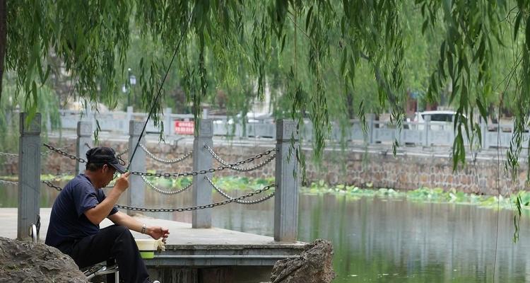 老渔翁的钓鱼技巧（深入探索老渔翁娴熟的捕鱼技术）  第2张