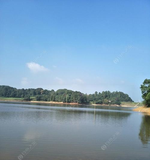 乐清水库钓鱼技巧大揭秘（掌握技巧）  第3张
