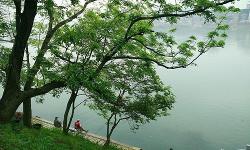 漓江钓鱼技巧教学（掌握钓鱼技巧）  第3张