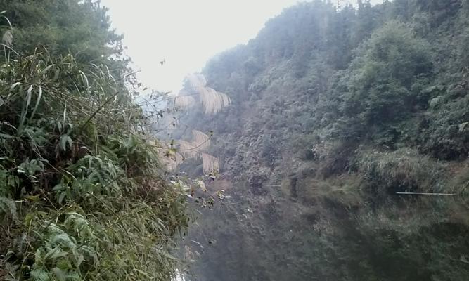 鲤鱼塘大桥钓鱼技巧（挑战自我）  第2张