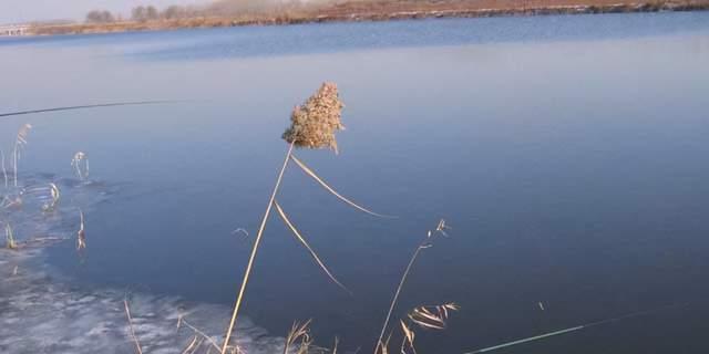 立春季节垂钓技巧（提高钓鱼成功率的小窍门）  第1张