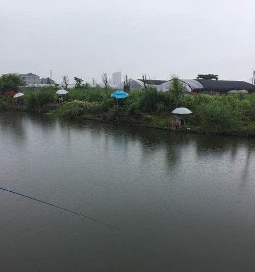 立春起风钓鱼之技巧（迎接春季）  第2张