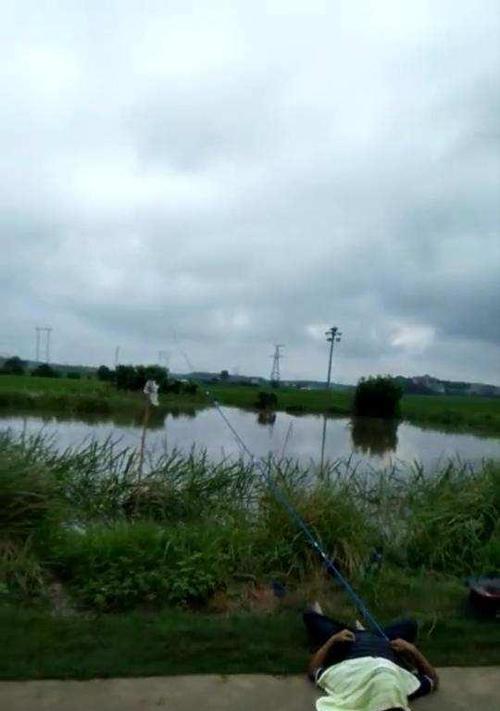 雨天钓鱼技巧大揭秘（掌握关键技巧）  第3张