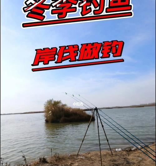 钓鱼技巧大全（每月份都有独特的钓鱼窍门）  第2张