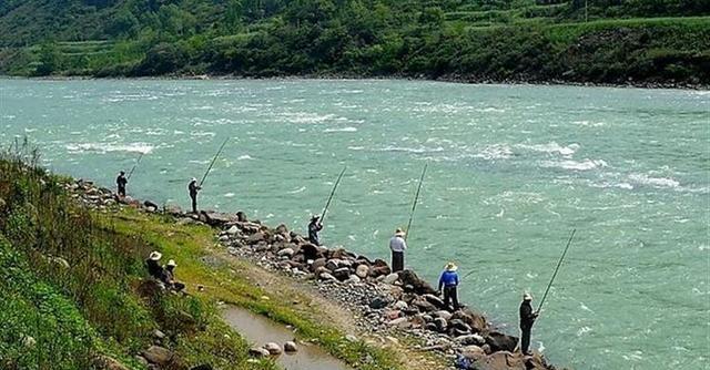钓鱼技巧之闷热天气下的秘诀（应对高温天气）  第3张