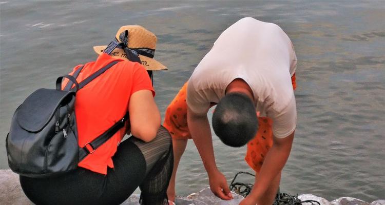 探秘面粉钓鱼的技巧（简单实用的面粉钓鱼技巧大揭秘）  第2张