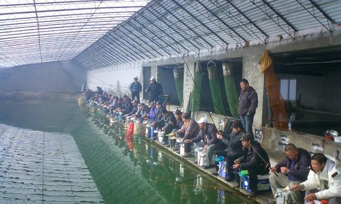 牧童钓鱼的新战术技巧和方法（探索现代化渔具的关键）  第2张