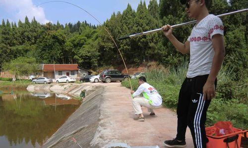 南充钓鱼野钓技巧大揭秘（南充钓鱼）  第3张