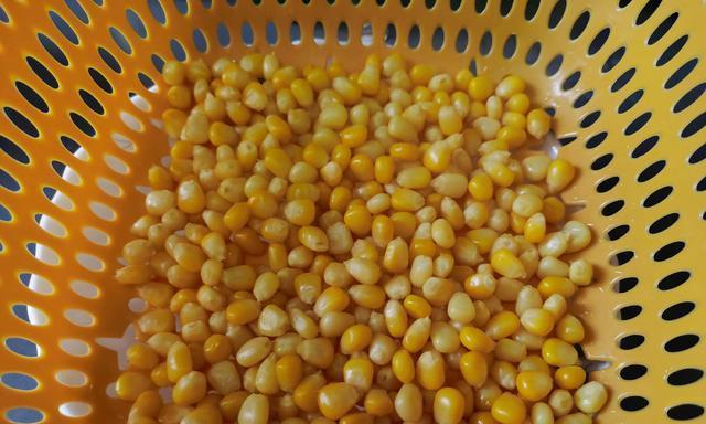 玉米粒钓鱼技巧（以泡制玉米粒提升钓鱼效果）  第3张