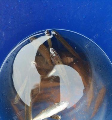 普通小河钓鱼浮技巧（掌握技巧）  第2张