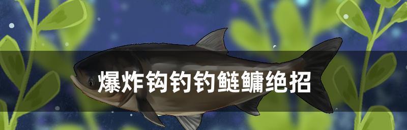 普通小河钓鱼浮技巧（掌握技巧）  第3张