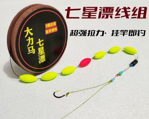 七星漂钓鱼技巧（野钓的精髓在于技巧）  第1张