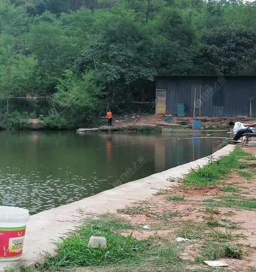 秋季草塘钓鱼技巧（探秋草塘）  第1张