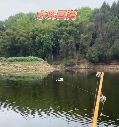 秋季钓鱼技巧（三个不同阶段的钓鱼技巧）  第2张