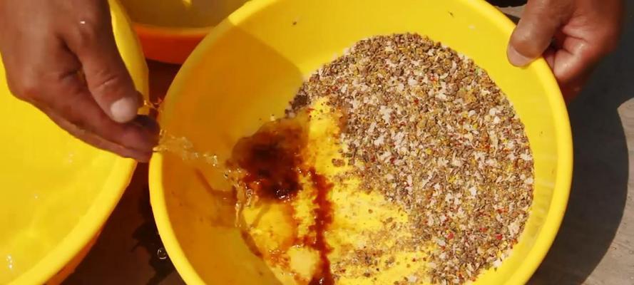 秋季钓鱼技巧-选择合适的饵料增加钓获率（秋季钓鱼饵料选择技巧）  第1张