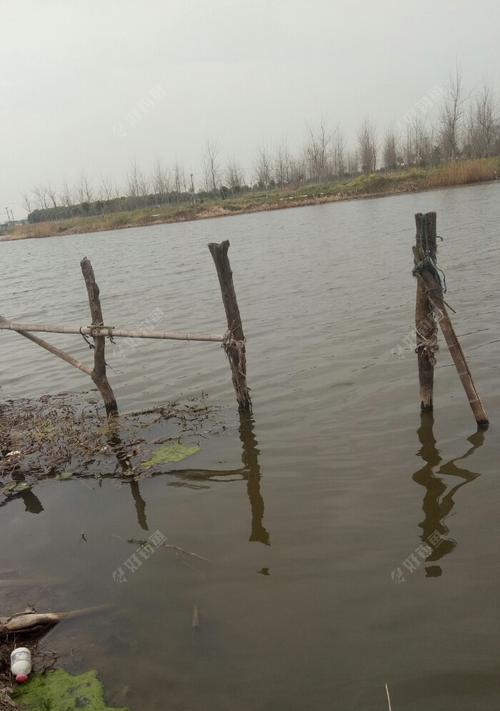 秋雨连绵，钓鱼妙招（钓鱼技巧应对连续秋雨）  第1张