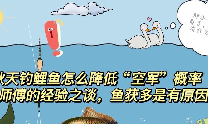 秋季低温钓鱼技巧（把握气温转凉）  第3张