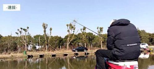 南方黑坑钓鱼技巧（南方黑坑钓鱼的绝佳技巧与经验分享）  第1张