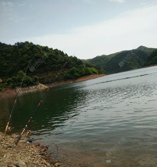 野塘钓鱼技巧大揭秘（钓鱼高手教你如何针对性钓鱼）  第1张
