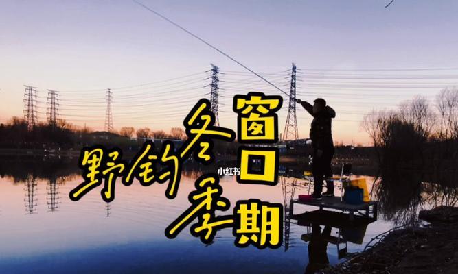 入冬钓鱼小技巧指南（冬季钓鱼技巧分享）  第1张