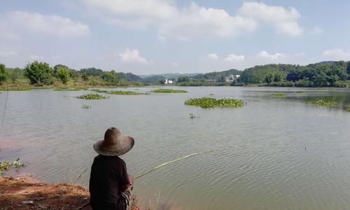 山间急流小河钓鱼技巧（探寻鱼儿踪迹）  第1张