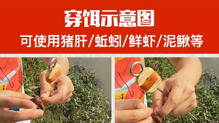 甲鱼钩技巧大揭秘（掌握甲鱼钩技巧）  第1张