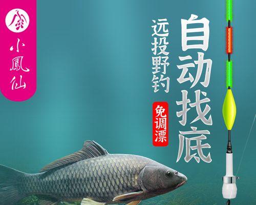 探秘手杆钓鱼调漂技巧（海钓技巧大揭秘）  第1张